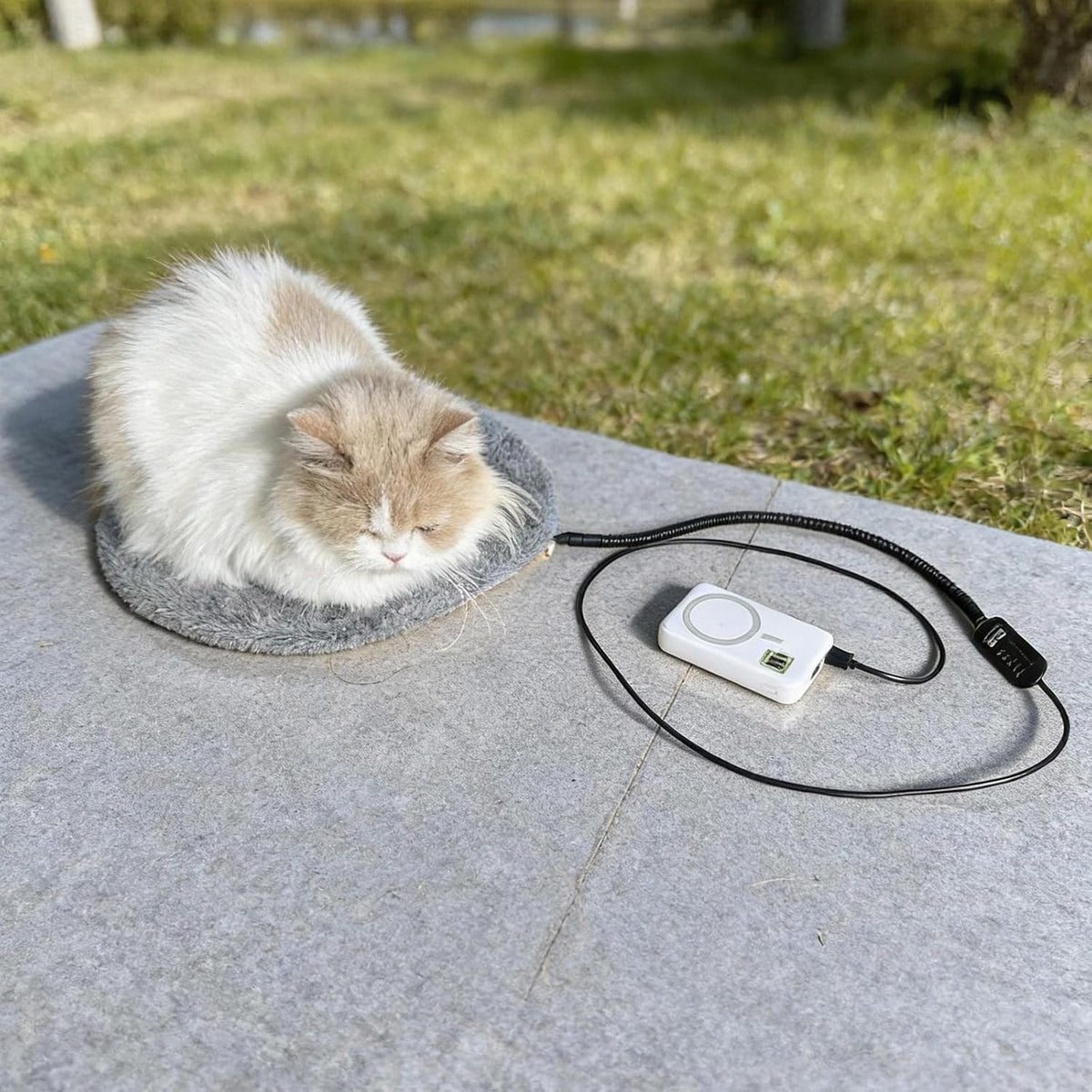 2-in-1 Round Pet Heating Pad Large 14"x14" with Washable Cover - Heated Bed Warmer Insert & Standalone Mat for Large Cats Medium Dogs - USB Powered 5 Temps Timer Auto Shut-Off - Indoor Outdoor