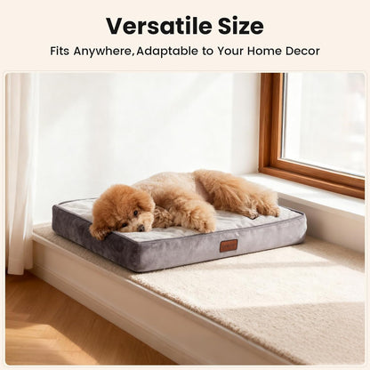 Orthopedic Waterproof Large Dog Bed, Memory Foam, 41 inch-XL(Gray)