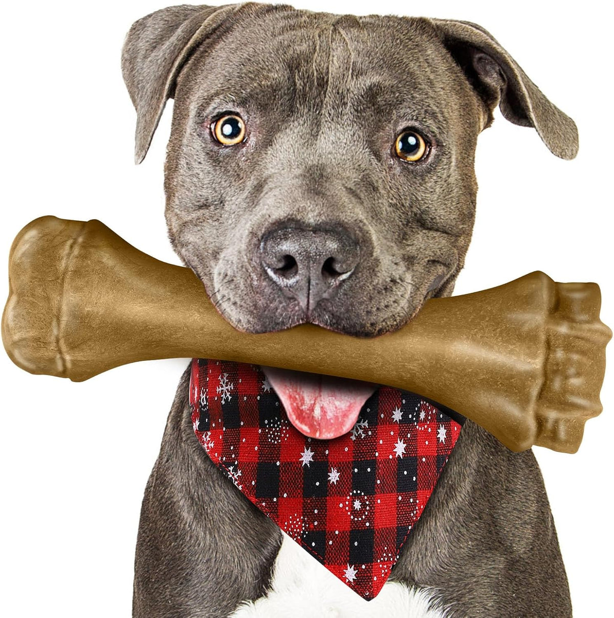 Dog Toys for Aggressive Chewers, Indestructible Bones Toy for Aggressive Chewers, Tough Puppy Chew Toy for Heavy Duty Dogs, Big Dog Teething Toys with Durable Nylon for Large/Medium Breed Puppies