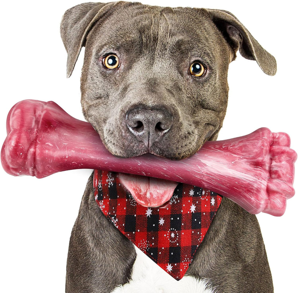 Dog Toys for Aggressive Chewers, Indestructible Bones Toy for Aggressive Chewers, Tough Puppy Chew Toy for Heavy Duty Dogs, Big Dog Teething Toys with Durable Nylon for Large/Medium Breed Puppies