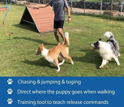 Interactive Flirt Pole Toy for Dogs Chase,Outdoor Exercise,Agility Training