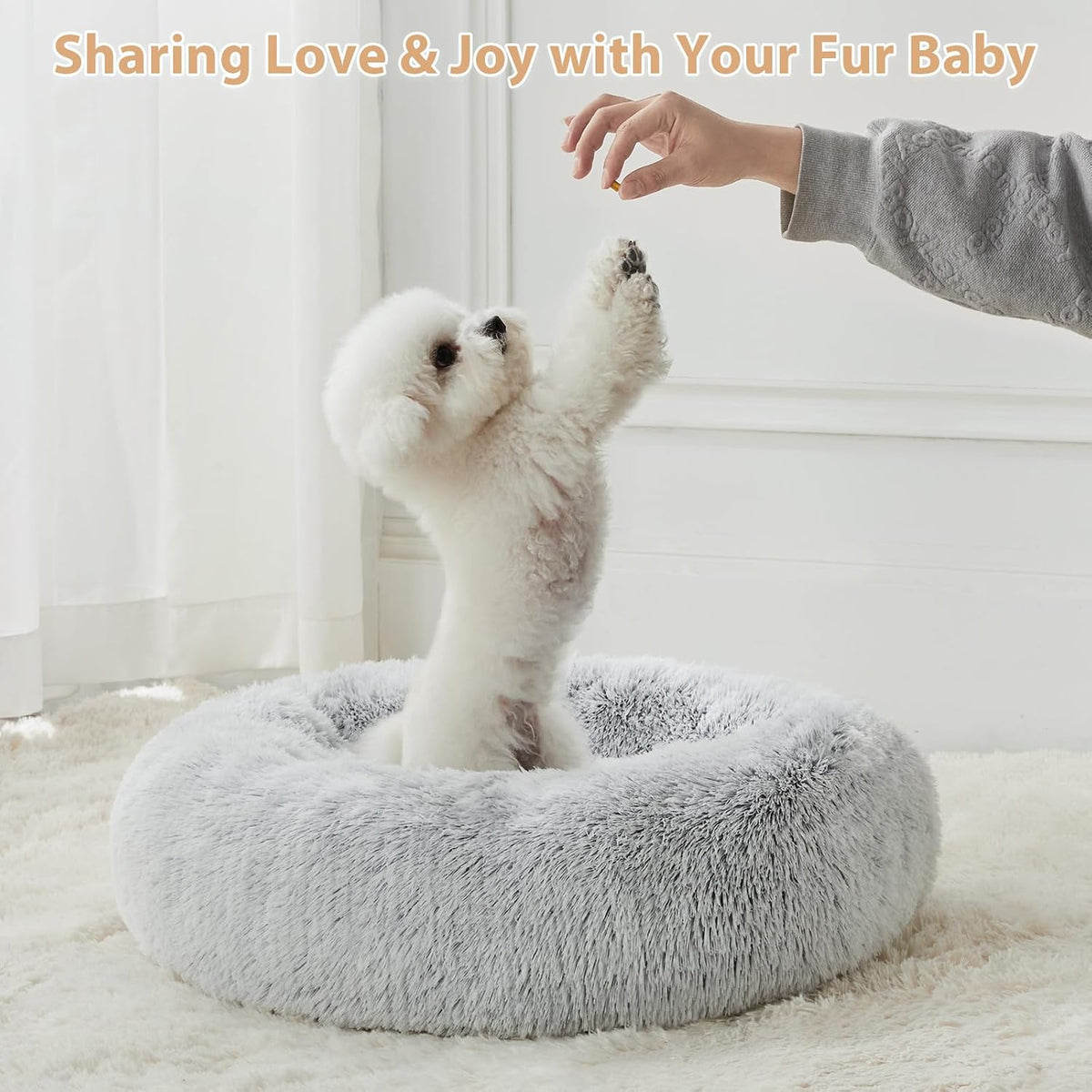 WNPETHOME Small Round Calming Dog Bed Cat Bed for Comfy Sleep