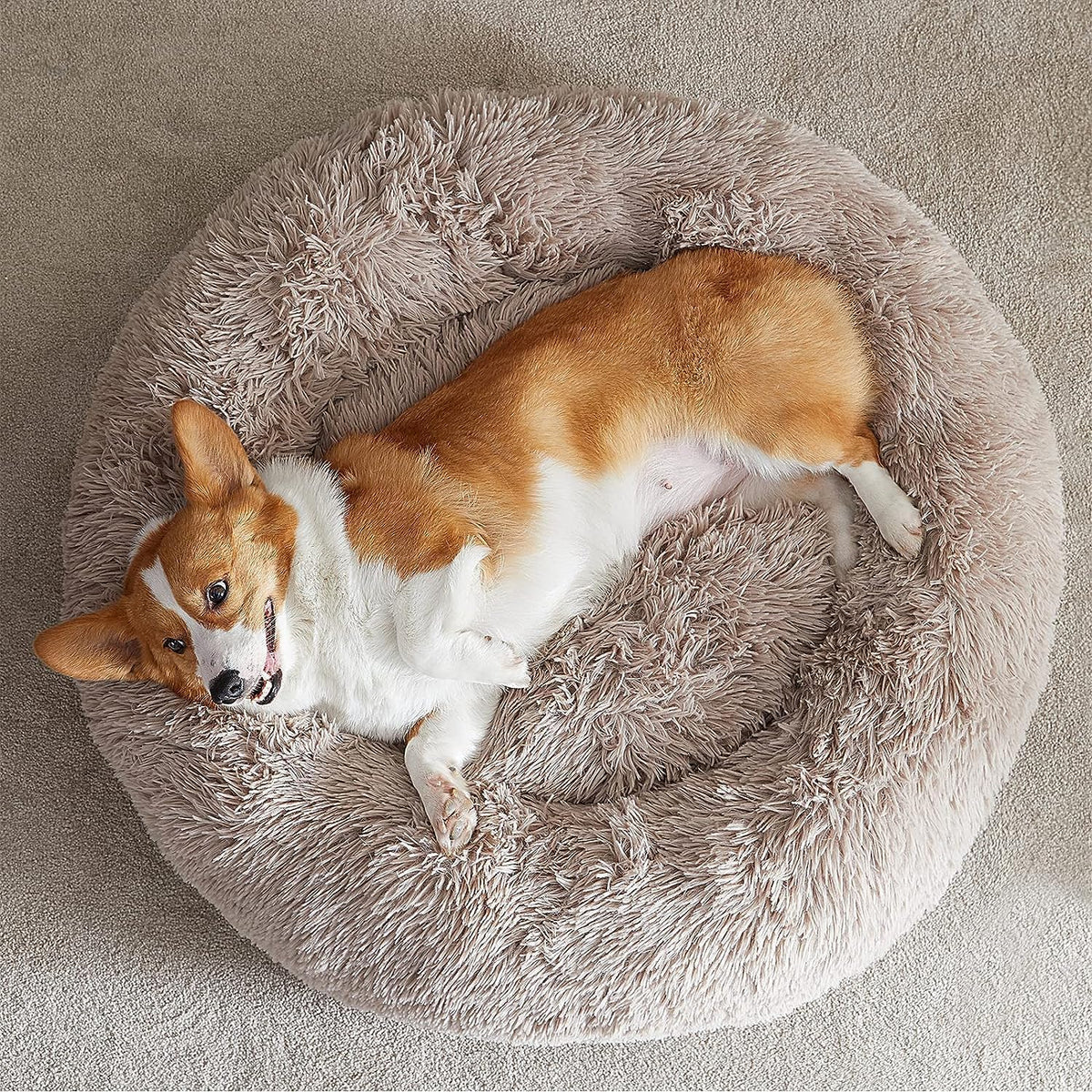 WNPETHOME Small Round Calming Dog Bed Cat Bed for Comfy Sleep