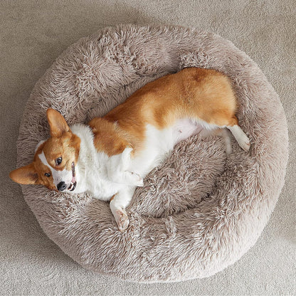 WNPETHOME Small Round Calming Dog Bed Cat Bed for Comfy Sleep