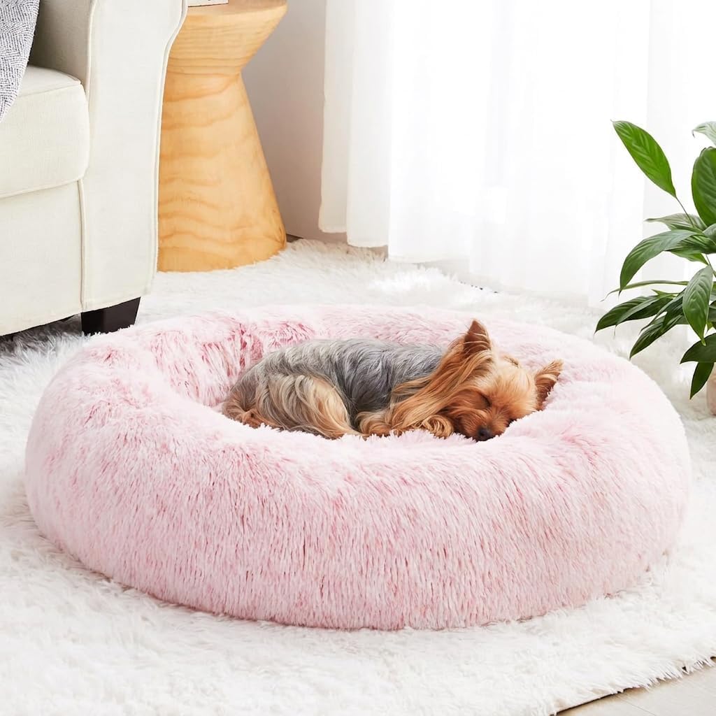 WNPETHOME Small Round Calming Dog Bed Cat Bed for Comfy Sleep