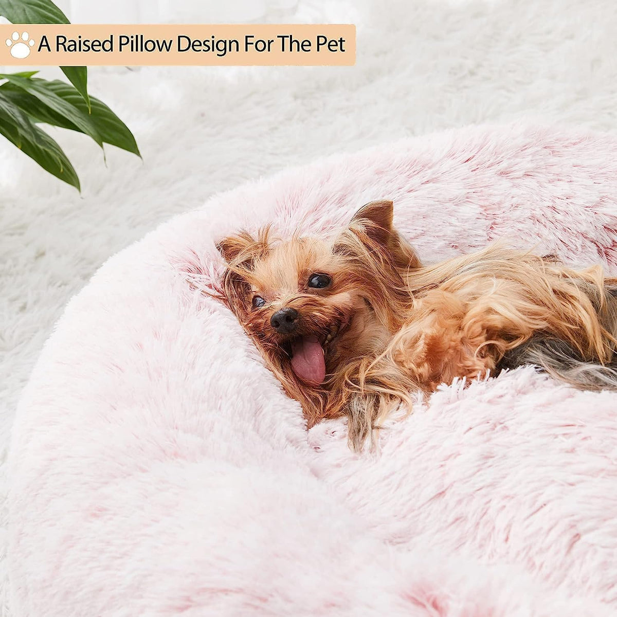 WNPETHOME Small Round Calming Dog Bed Cat Bed for Comfy Sleep