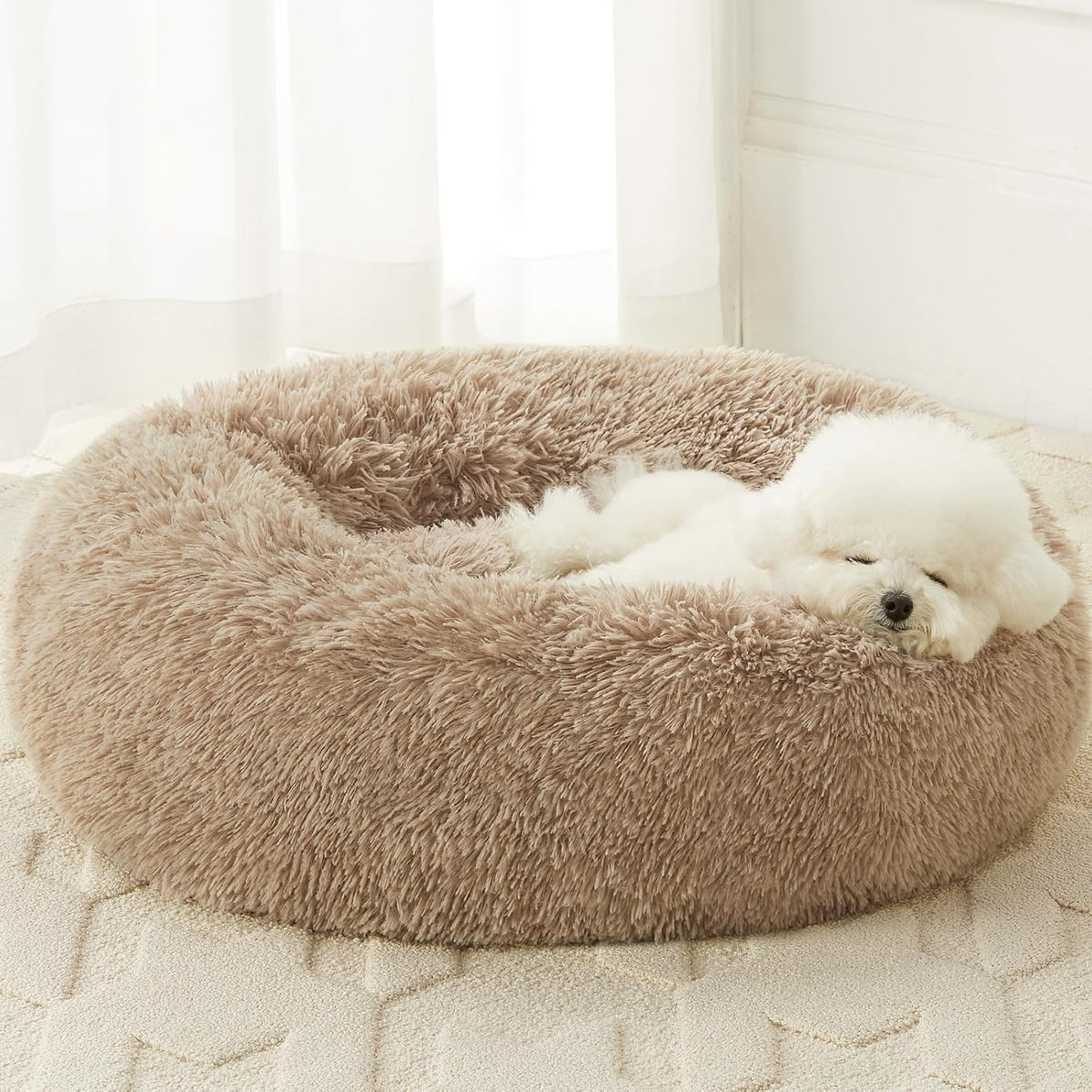 WNPETHOME Small Round Calming Dog Bed Cat Bed for Comfy Sleep