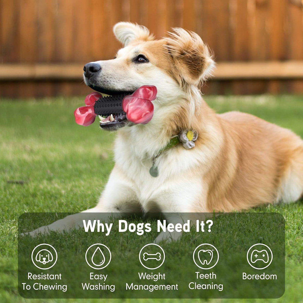 Tough Dog Toys for Aggressive Chewers: Beef Flavored Long Lasting Dog Bones for Large Dogs, Indestructible Dog Chew Toys to Keep Them Busy, Large Dog Toys for Medium & Large Breed, Red