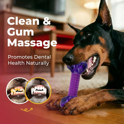 Tough Dog Toys for Aggressive Chewers: Beef Flavored Long Lasting Dog Bones for Large Dogs, Indestructible Dog Chew Toys to Keep Them Busy, Large Dog Toys for Medium & Large Breed, Red