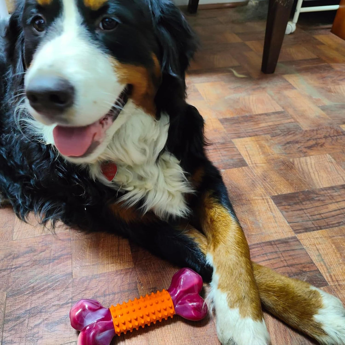 Tough Dog Toys for Aggressive Chewers: Beef Flavored Long Lasting Dog Bones for Large Dogs, Indestructible Dog Chew Toys to Keep Them Busy, Large Dog Toys for Medium & Large Breed, Red