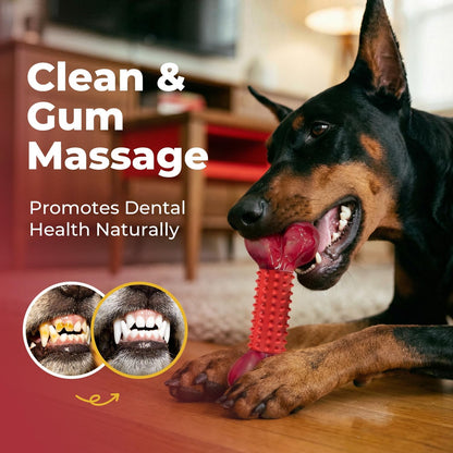 Tough Dog Toys for Aggressive Chewers: Beef Flavored Long Lasting Dog Bones for Large Dogs, Indestructible Dog Chew Toys to Keep Them Busy, Large Dog Toys for Medium & Large Breed, Red