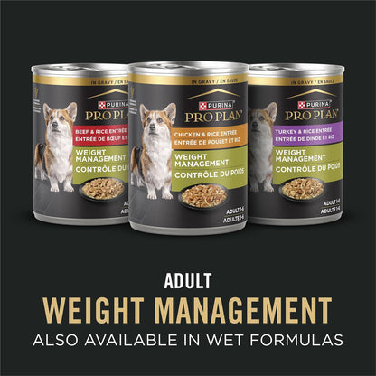 Adult 7 Plus Weight Management Shredded Blend Chicken and Rice Formula Senior Dog Food - 6 lb. Bag