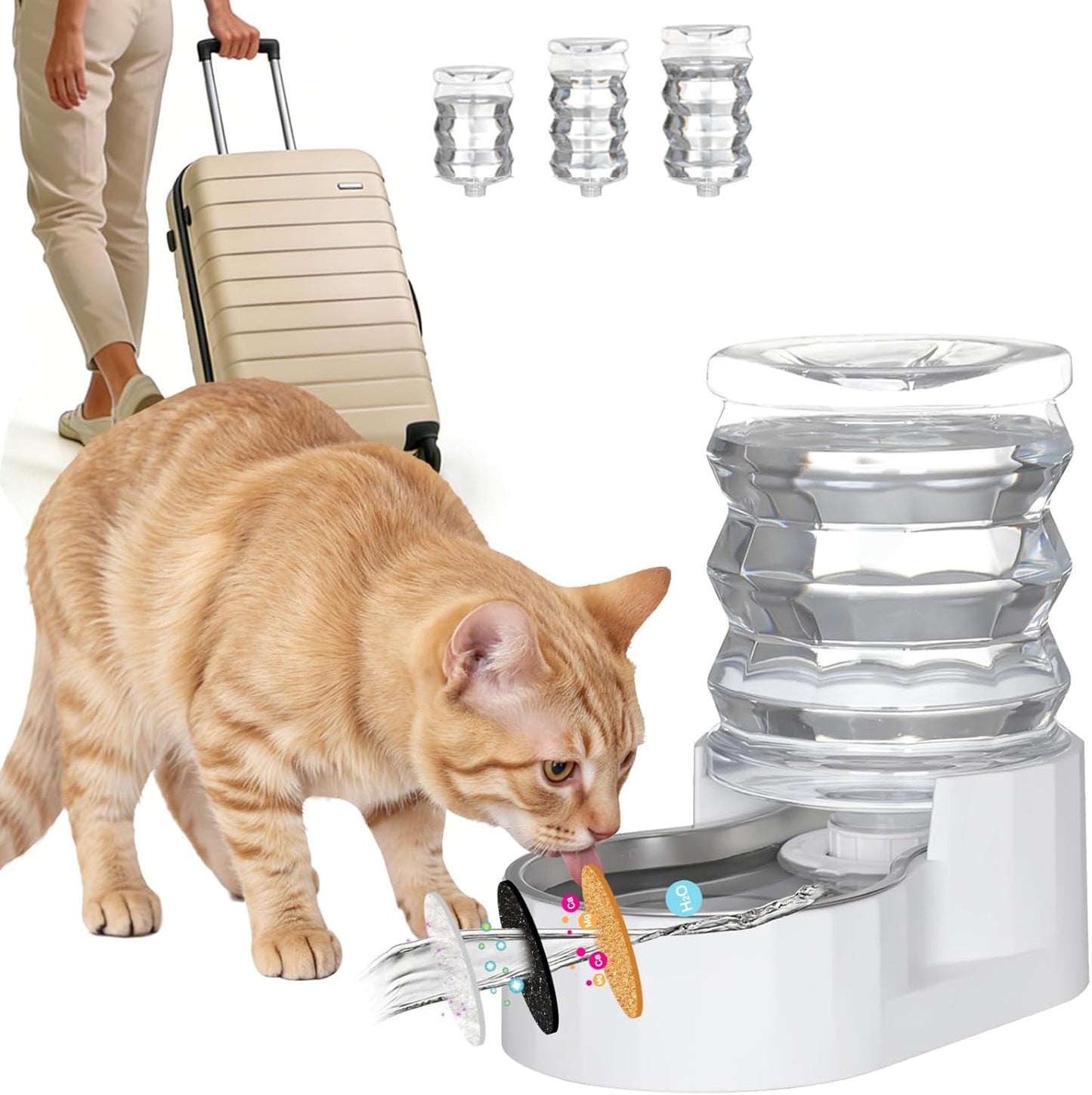 RIZZARI 8L Elevated Pet Water Dispenser – Stainless Steel Gravity Waterer with Auto-Refill Design for Medium and Large Dogs & Senior Pets -Comfortable Drinking Height for Living Rooms,Multi-Pet Homes