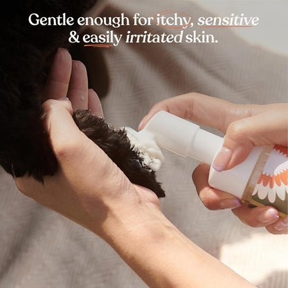 Dandylion Dog Paw Cleaner, Clean Paws, Dog Paw Washer, No Rinse Foam Cleaner for Dogs, Fragrance Free pH Balanced Foaming Washer with Silicone Brush, Pet Cleaning Supplies, 5 fl oz
