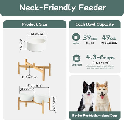 Havniva 8.3” Dog Bowls Elevated Ceramic Dog Food and Water Bowl, Raised Dog Water Bowl with Stand Non-Slip Rubber Base Large Capacity Feeding Pet Food Bowl for Large Dogs