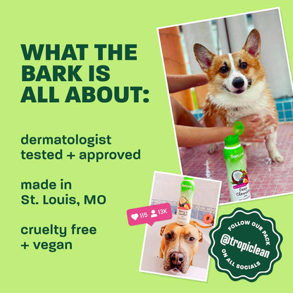 TropiClean Deshedding Dog Shampoo, Fast-Acting Shedding Control & Coat Softener, Puppy Safe, Made in USA, Lime & Coconut Scent, Cat Friendly, 20oz.