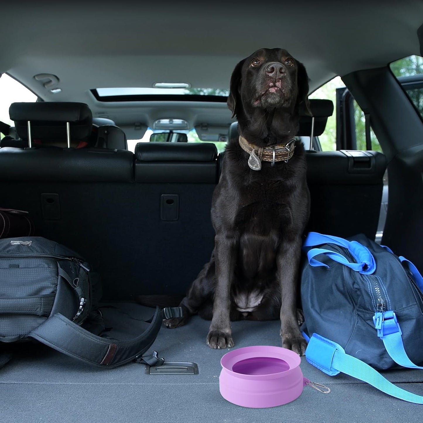SLSON Spill Proof Dog Water Bowl for Cars,Collapsible No Splash Dog Travel Bowls Integrated Molding Portable Pet Bowl for Vehicle Road Trip Truck,RV,SUV,Boat Accessories (Cold Grey)