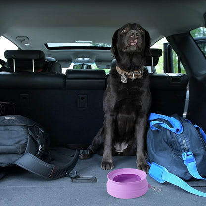 SLSON Spill Proof Dog Water Bowl for Cars,Collapsible No Splash Dog Travel Bowls Integrated Molding Portable Pet Bowl for Vehicle Road Trip Truck,RV,SUV,Boat Accessories (Cold Grey)