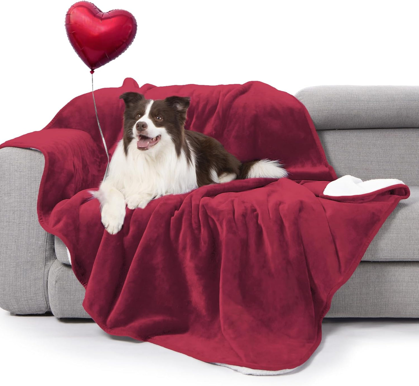 gogobunny Waterproof Blanket for Bed Couch Sofa, Liquid Pee and Fur Proof Pet Blanket for Dog Puppy Cat, Reversible Sherpa Fleece Throw Blanket Furniture Cover Protector (Grey, 50x60 inches)