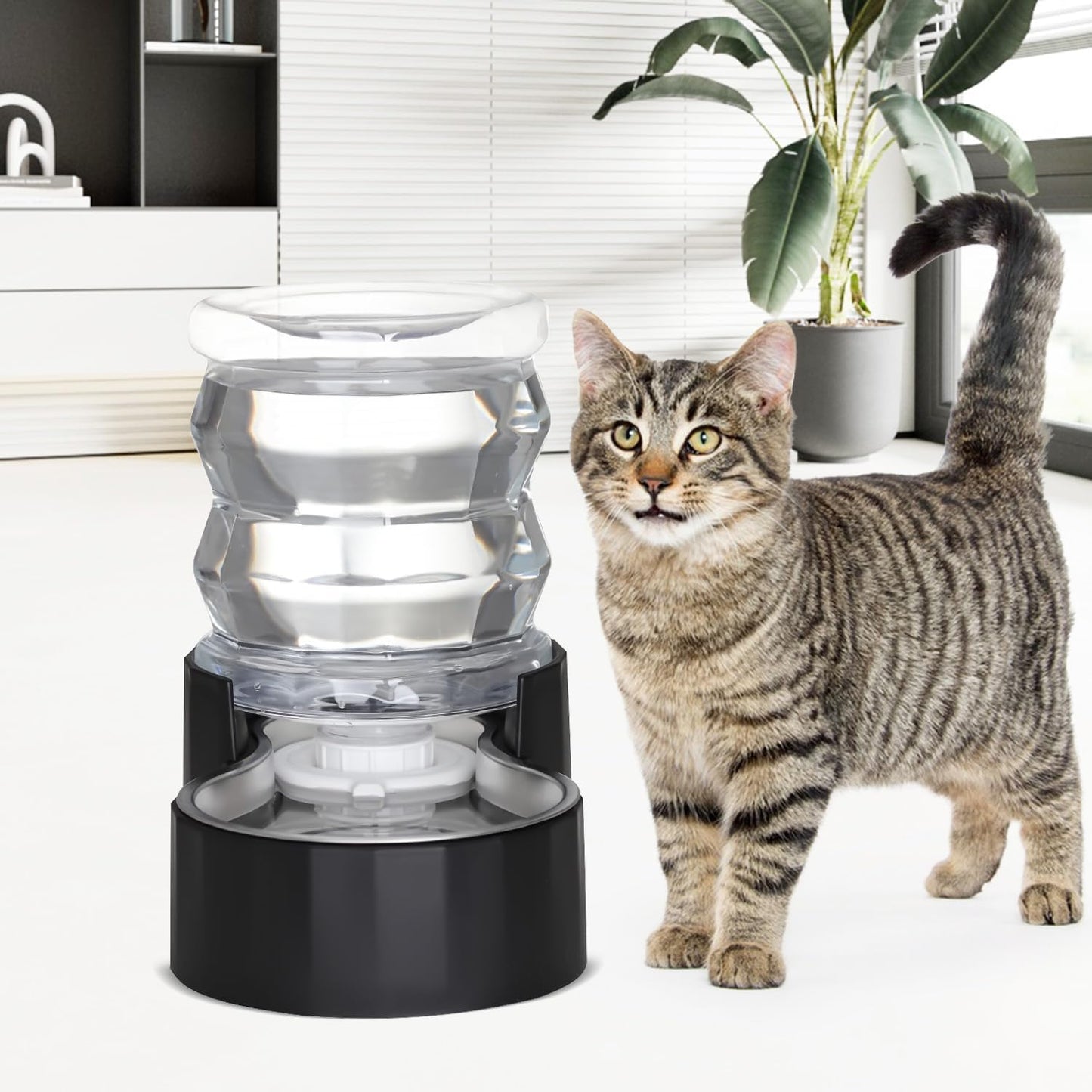 RIZZARI 8L Elevated Pet Water Dispenser – Stainless Steel Gravity Waterer with Auto-Refill Design for Medium and Large Dogs & Senior Pets -Comfortable Drinking Height for Living Rooms,Multi-Pet Homes