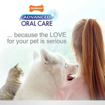 Nylabone Advanced Oral Care Dog Dental Kit Original Flavor 2.5 oz.
