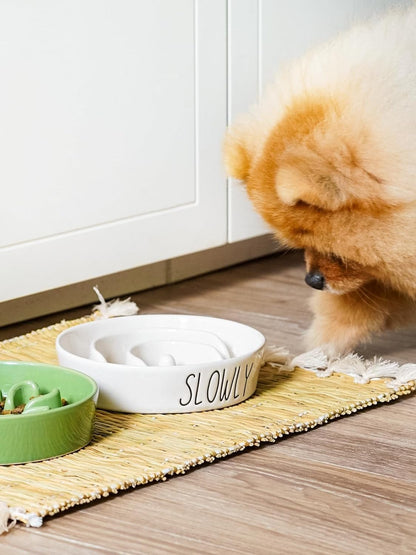 Slow Feeder Dog Bowl - 1.5 Cups Ceramic Puzzle Feeder for Small & Medium Breeds, Maze Design Bowl for Puppy & Fast Eaters, White Pet Dish to Control Eating Speed