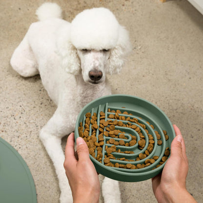 Should We Go? Slow Feeder for Dogs & Puppies, The Slowdown Bowl Silicone Slow Eating, Modern Lick Mat Design, Reduces Gulping, Fits 2 Cups, 7.5” Across x 1.5” Tall, Mealtime Challenge, Medium-Blush