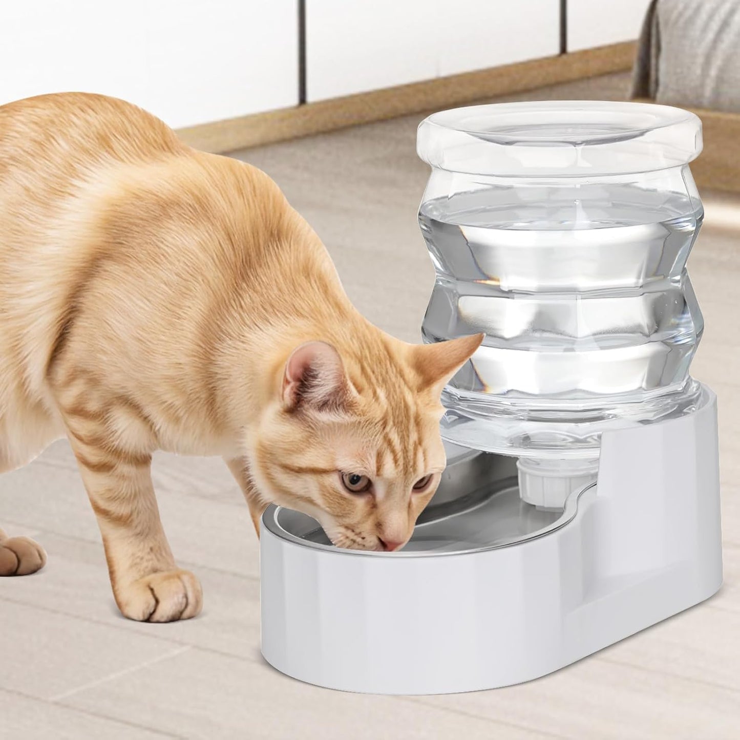 RIZZARI 8L Elevated Pet Water Dispenser – Stainless Steel Gravity Waterer with Auto-Refill Design for Medium and Large Dogs & Senior Pets -Comfortable Drinking Height for Living Rooms,Multi-Pet Homes