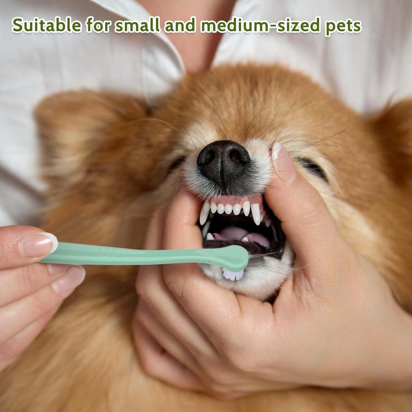 salbsever 4Pcs Dog Toothbrush Pet Toothbrush Soft Mini Cat Tooth Brush Puppy Tooth Brush, Travel Portable Mini Head Deep Clean Kit for Small Dog & Cat, Puppy, Kitten