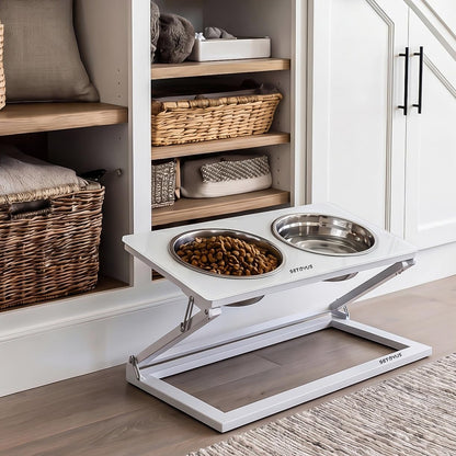 Elevated Dog Bowls, Adjustable Raised Dog Bowl Stand with 2 Stainless Steel Food Bowls 20°Tilted Water Bowls for Medium Small Sized Dogs (Black, Medium)