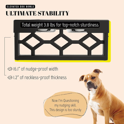 AVERYDAY Elevated Dog Bowls, 4 Height Adjustable Stand for Medium and Large Dogs, Raised Dog Feeder Holder with 2 Stainless Steel Food and Water Bowls, Anti-Slip Base Tall Feeding Station