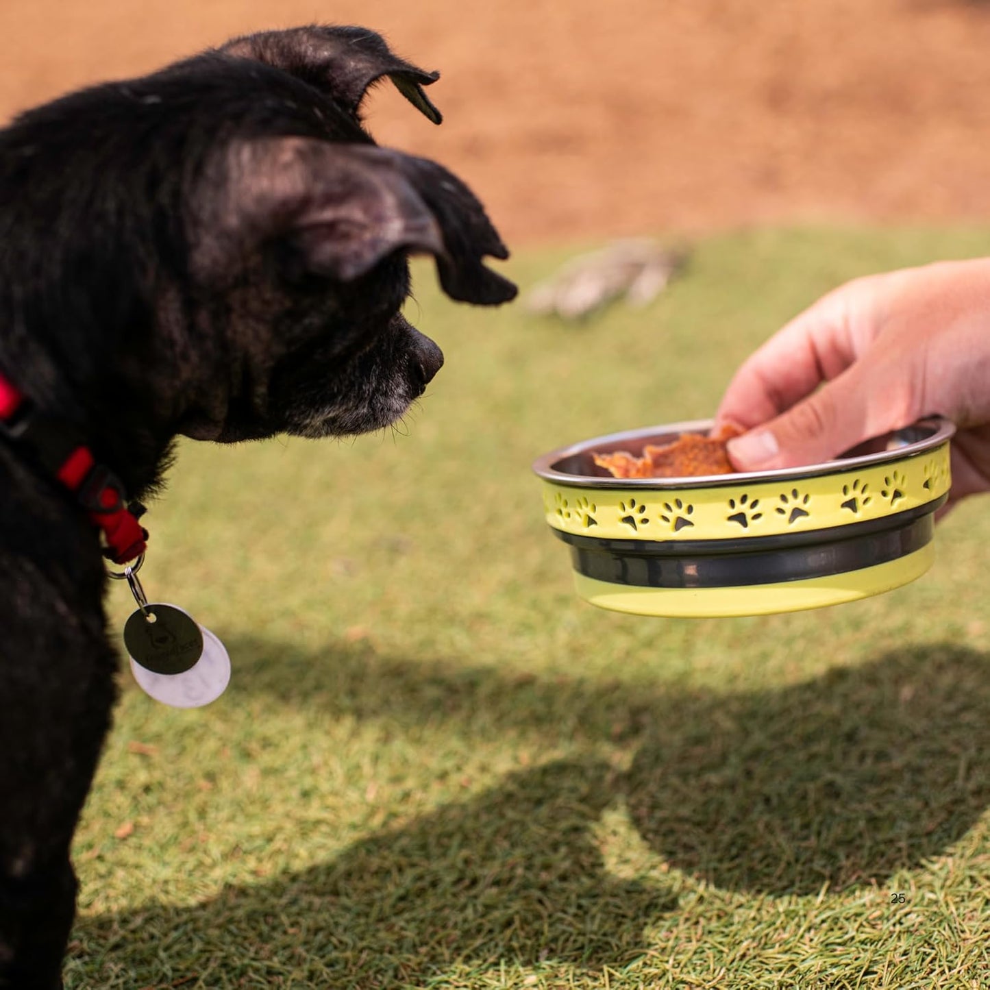 Loving Pets Corsa Dog Bowls- Stainless Steel Dog & Cat Bowls - Spill Proof Dog Food Bowl, Cat Bowl, Puppy Essentials & Pet Supplies Great for Home & Travel (Small 10-20 lbs, Rapid Blue)