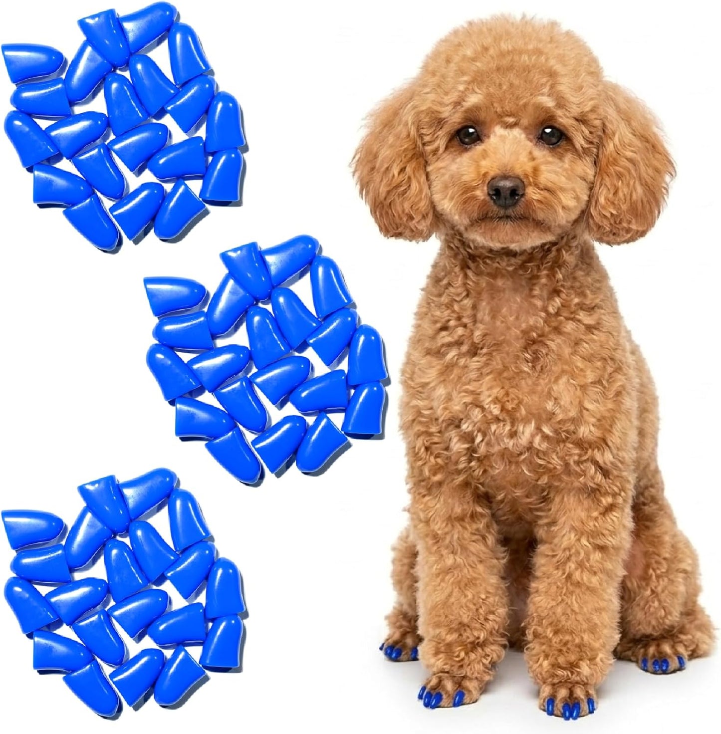 zetpo Dog Nail Caps & Claw Caps (60 pcs) - Anti Slip Dog Toe Grips & Covers for Hard Floors - Instant Traction & Mobility Support for Senior Dogs - Stops Scratches & Reduces Floor Noise (Blue, XXL)