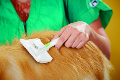Andis 65705 Stainless-Steel Slicker Brush for Dogs and Cats - Durable and Lightweight Grooming Tool for All Breeds and Fur Lengths, Reduces Shedding and Promotes Hair Growth - Medium, Green