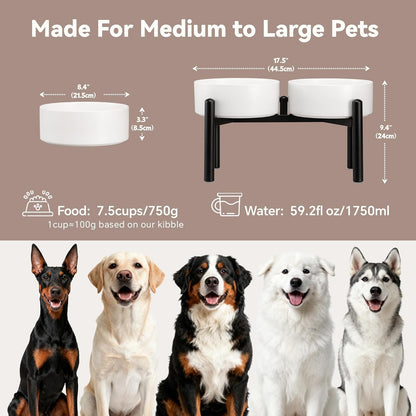 Raised Ceramic Dog Bowl Set - Elevated Double Dishes with Stainless Steel Stand - Food and Water Bowls for Small to Medium Dogs - Each Holds 3.5 Cups (29.57 fl oz) - White