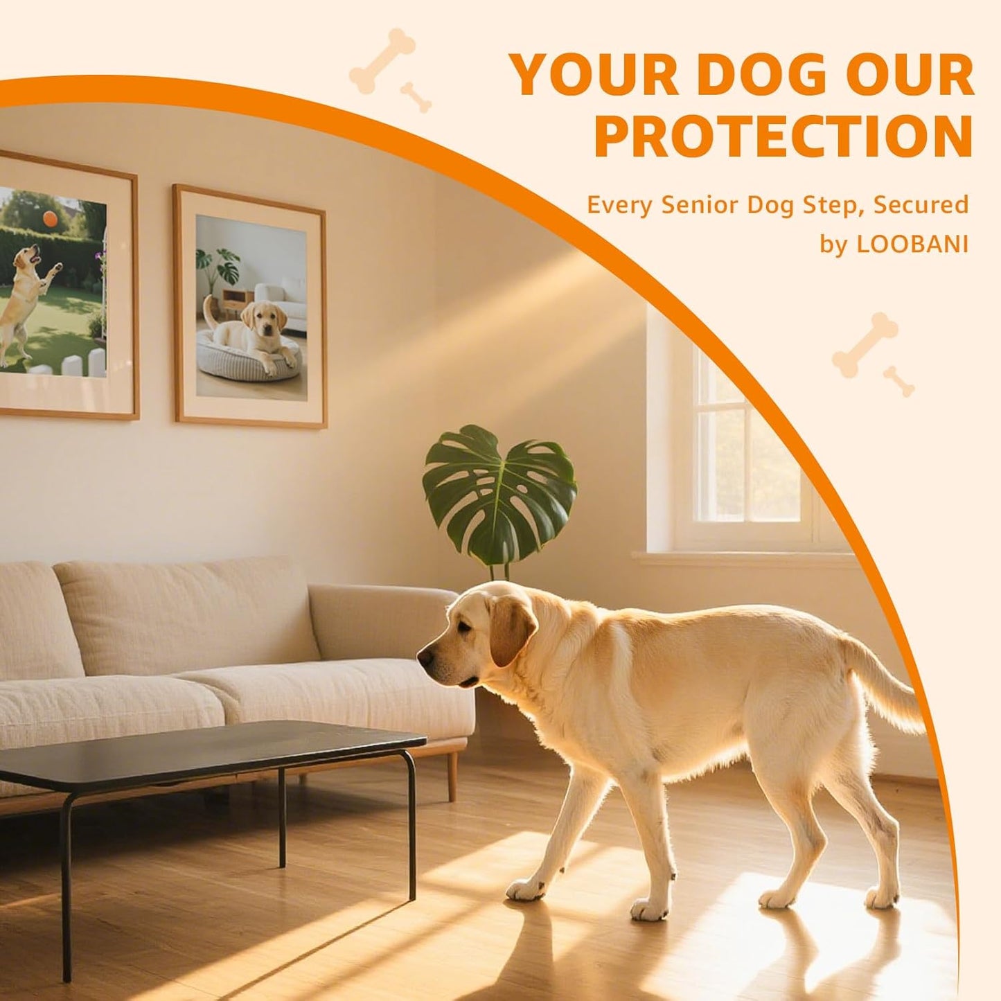 Paw Pads for Dogs Traction - 48Pieces Anti-Slip Sticky Dog Paw Protector Pads for Senior Dogs, Non Slip Adhesive Dog Paw Pads for Slippery Hardwood Floors to Prevent Slipping While Walking Running