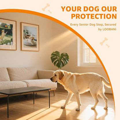 Paw Pads for Dogs Traction - 48Pieces Anti-Slip Sticky Dog Paw Protector Pads for Senior Dogs, Non Slip Adhesive Dog Paw Pads for Slippery Hardwood Floors to Prevent Slipping While Walking Running
