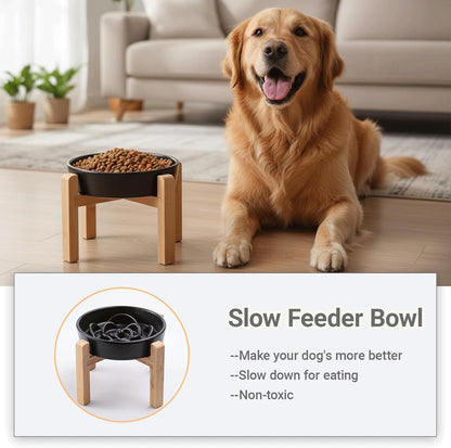 Ceramic Slow Feeder/Dog Bowl for Small Medium Dogs,Elevated/Raised Slow Feeding Dog Food Water Dish Heavy Weighted,Puzzle Eating Bowl Moder （Stars Mark-Forest Green, 8.26in）