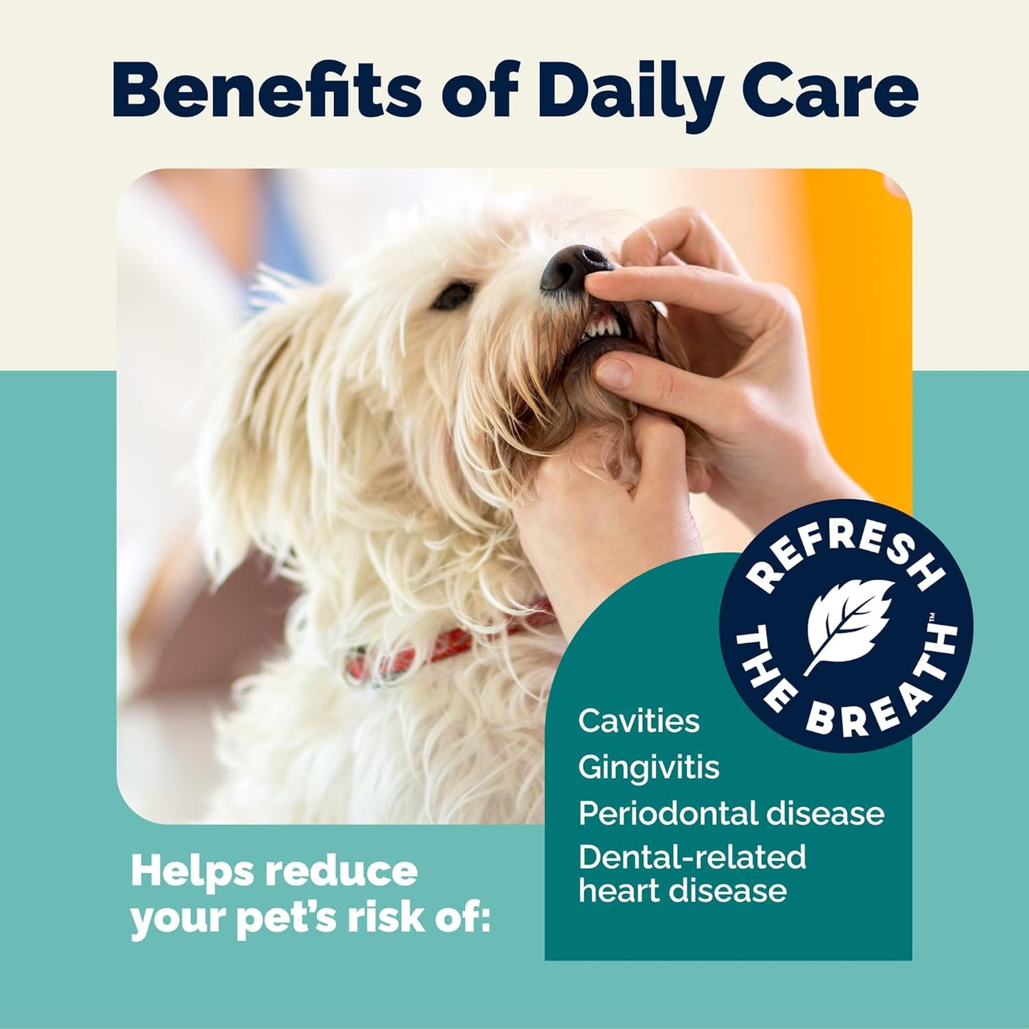 Vetnique Dentabliss Cat & Dog Teeth Cleaning Dental Wipes, Dog Toothbrush Alternative Finger Mitt Pet Wipes, Tartar & Breath Freshener, Vet Formulated Pet Dental Care, 50ct (Peppermint Flavored)