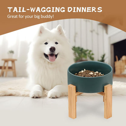 Elevated Ceramic Cat Bowl - Cat Food Bowl with Bamboo Stand - Raised Dog Dish for Puppies - Anti Vomiting, Stress Free - 13.5 oz / 400 ml - White