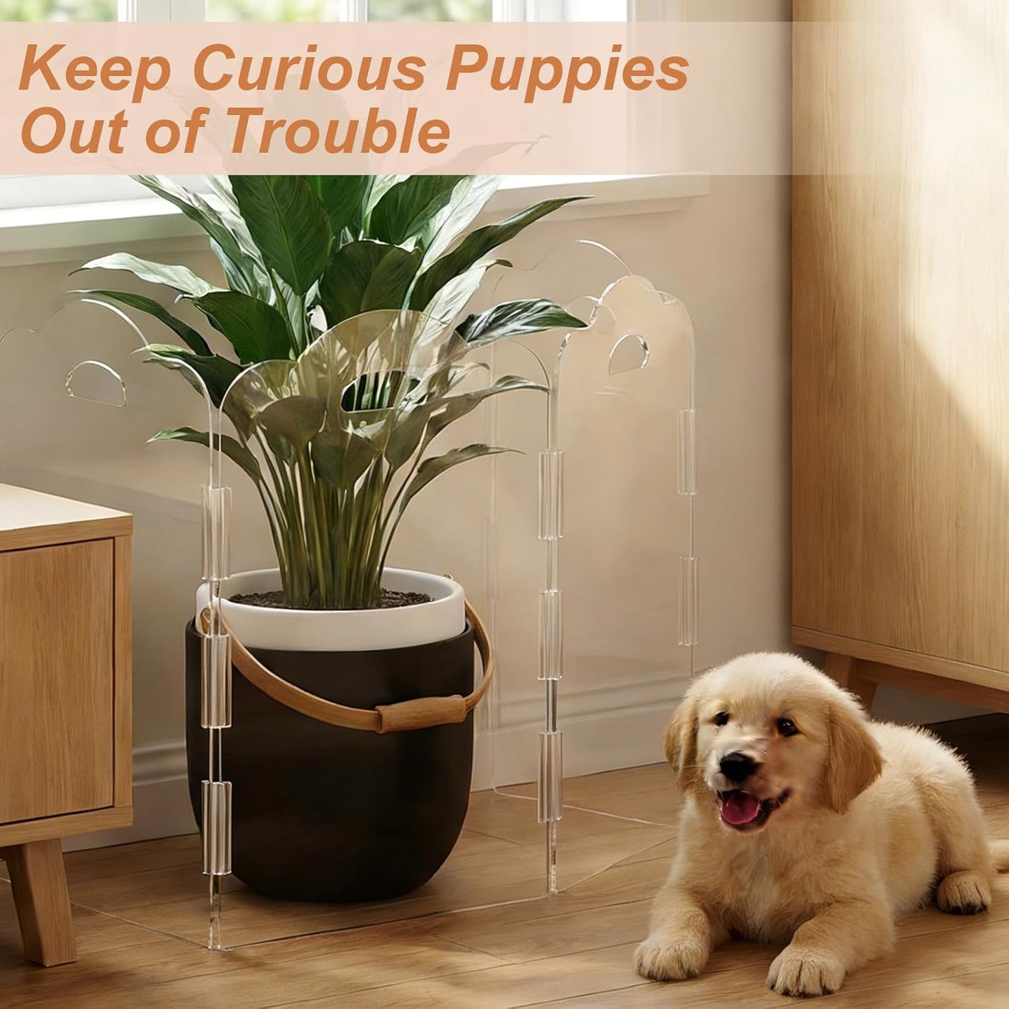 Clear Acrylic Dog Gate Indoor, Free-Standing Pet Gate, 24" Height (Size M) Foldable 4 Modular Panels, Dog Fence for Doorways, Hallways, Stairs, No Drilling, Perfect for Puppies and Small Pets