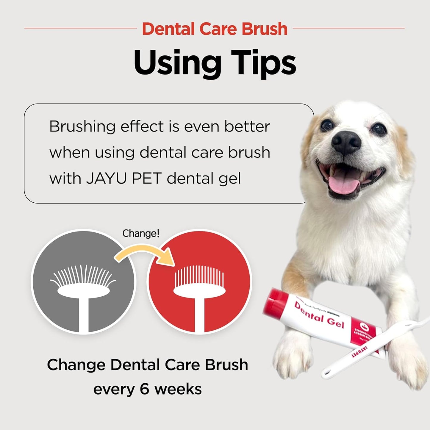 JAYU PET Dental Care Brush with Soft Bristles 1ea - Dog Toothbrush, Cat Toothbrush, Dental Care for Kitten and Small Dogs, Removing Old Plaque and Tartar, Easy Cleaning