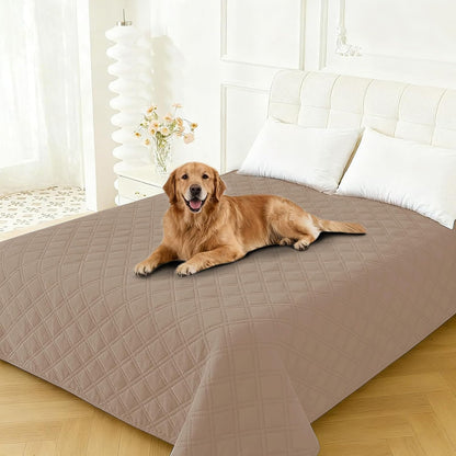 Waterproof Dog Blanket, Non-Slip Soft Pet Bed Cover, Couch Cover for Dogs Washable, Protects Sofa, Furniture, Crate, Car, Tear Resistant Leakproof Pet Blanket (30x70 Inch, Dark Grey)