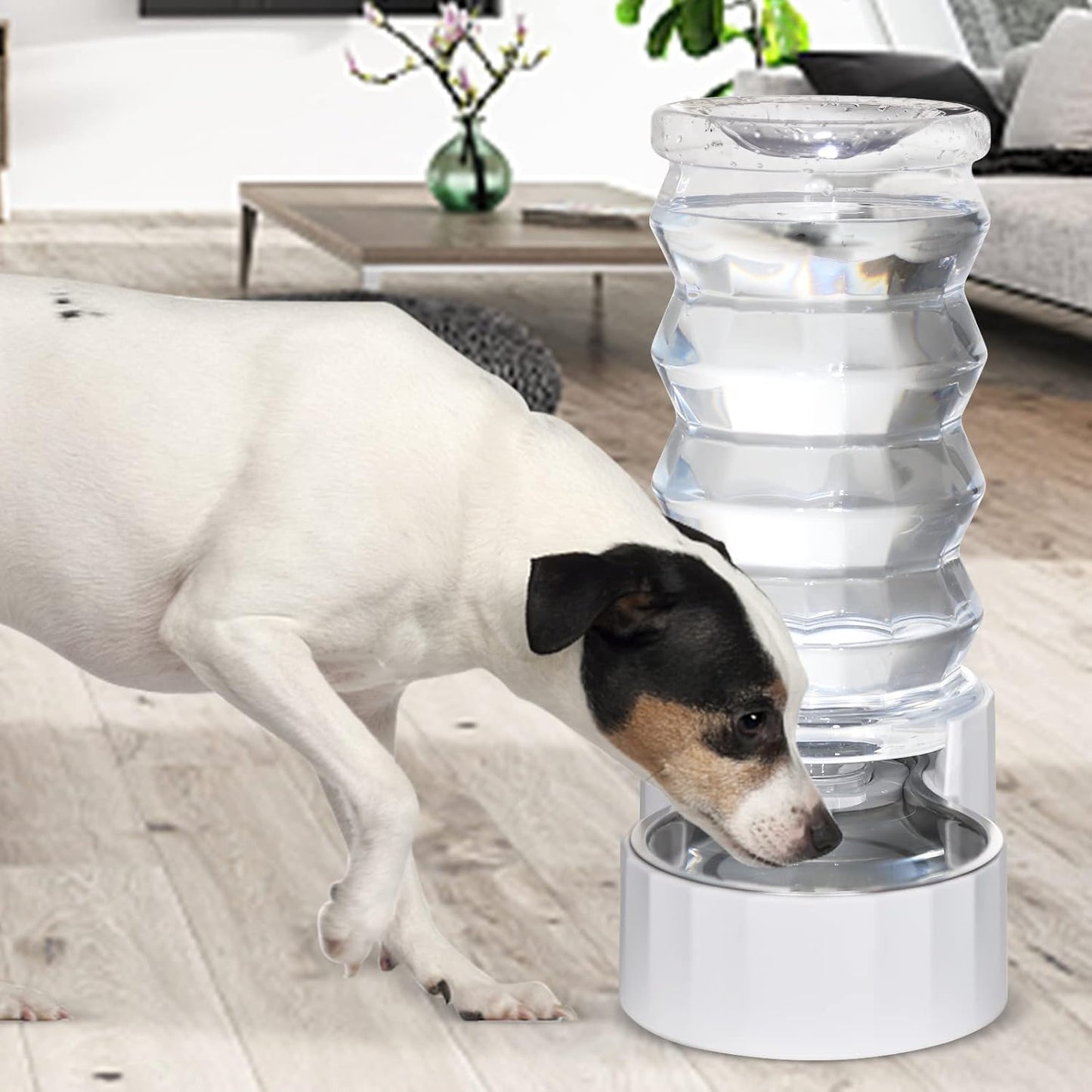 RIZZARI 8L Elevated Pet Water Dispenser – Stainless Steel Gravity Waterer with Auto-Refill Design for Medium and Large Dogs & Senior Pets -Comfortable Drinking Height for Living Rooms,Multi-Pet Homes