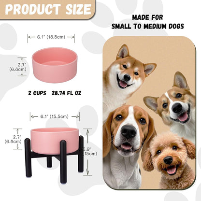 Raised Ceramic Dog Bowl Set - Elevated Double Dishes with Stainless Steel Stand - Food and Water Bowls for Small to Medium Dogs - Each Holds 3.5 Cups (29.57 fl oz) - White