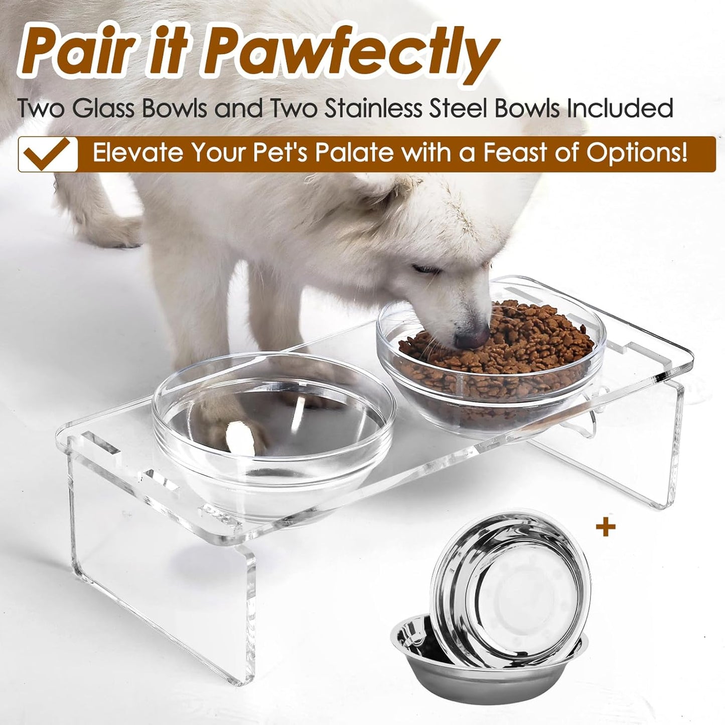 Elevated Dog & Cat Bowls – 3.75” Acrylic Raised Pet Feeder Stand with 2 Stainless Steel & 2 Glass Bowls – Food & Water Dish Set for Puppy/Small Dogs & Cats