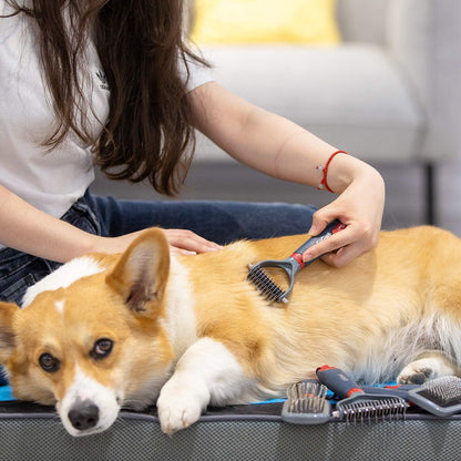 GiGwi Dog Rake for Grooming- 2 Sided Undercoat Pet Grooming Tools-Dog Rakes for Safe and Gentle Shedding and Removing Mats/Duall Head Dematting Comb Brush 11 Teeth for Dogs Cats Kitty and other Pets
