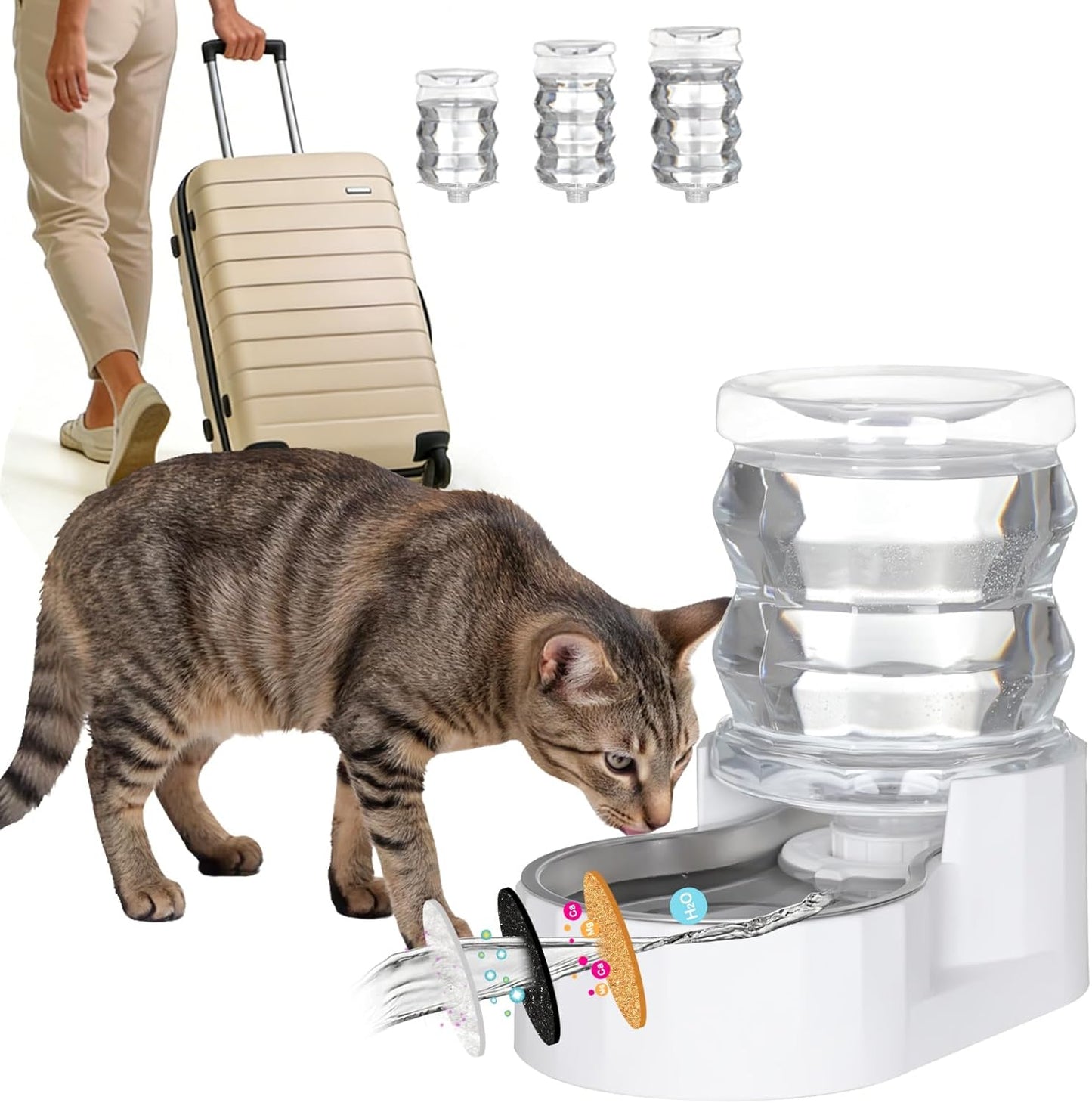 RIZZARI 8L Elevated Pet Water Dispenser – Stainless Steel Gravity Waterer with Auto-Refill Design for Medium and Large Dogs & Senior Pets -Comfortable Drinking Height for Living Rooms,Multi-Pet Homes