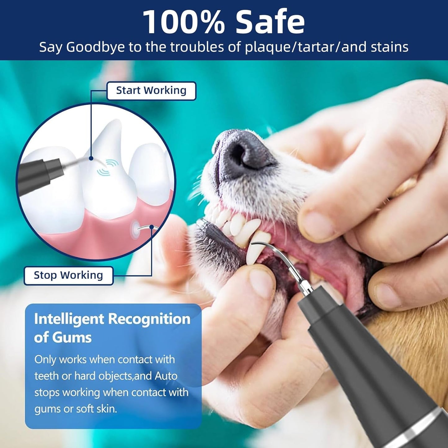 Plaque Remover for Teeth, Pet Ultrasonic Cleaner, Dog Plaque and Tartar Remover with LED Light, Dog Teeth Cleaning Dental Care Kit for Tartar and Stains, Suitable for Dogs and Cats (Black)