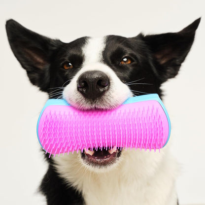 Pet Teezer De-Shedding Dog Brush by Tangle Teezer, Dog Grooming Tool for Long Haired Breeds and Wet or Dry Fur, Large, Blue & Pink